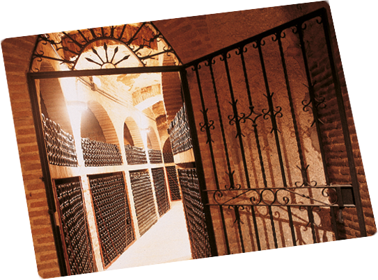 SLIDER1-ruta SLIDER1-ruta