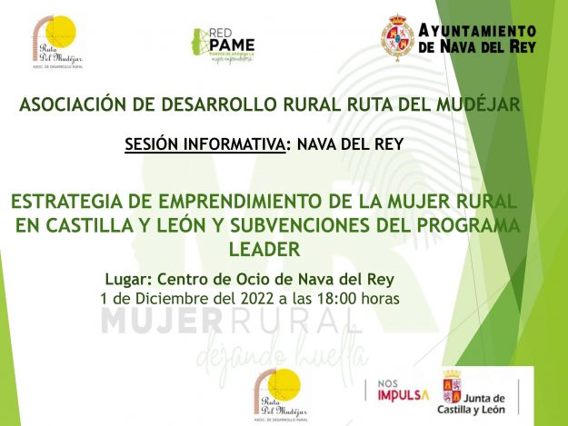 Cartel Sesión informativa Estrategia Emprendimiento Nava del Rey